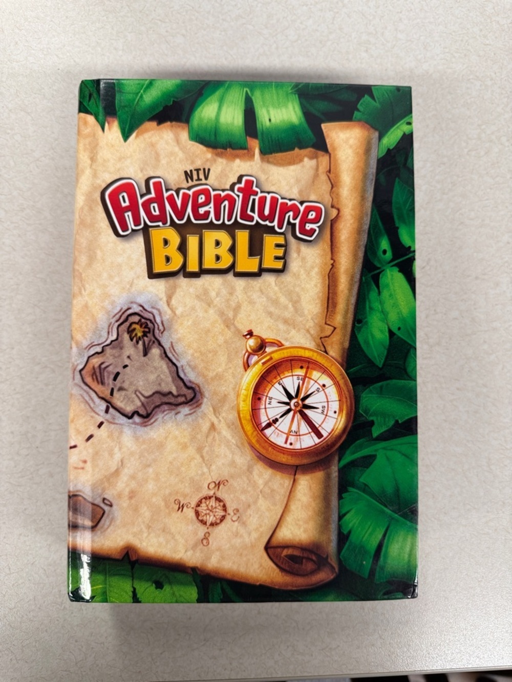 NIV Adventure Bible — Green and Tan Illustrated Cover